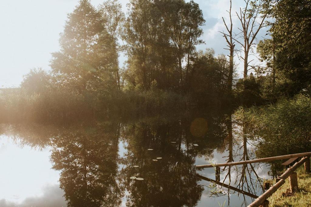 Dom Goscinny Sowia Stopka Miłomłyn Exterior foto