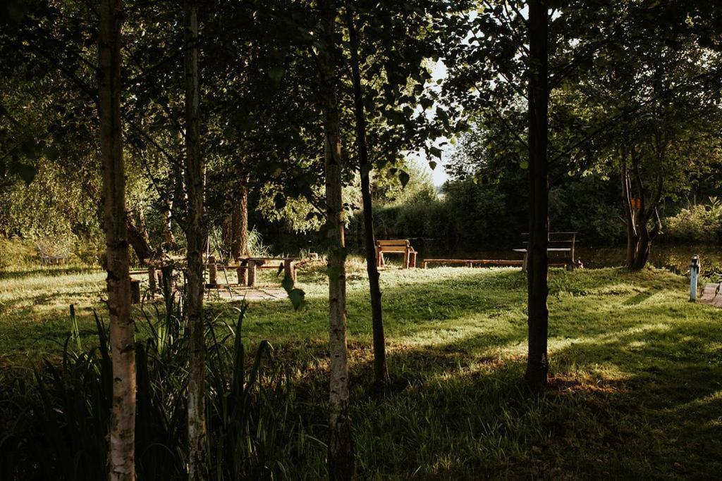 Dom Goscinny Sowia Stopka Miłomłyn Exterior foto
